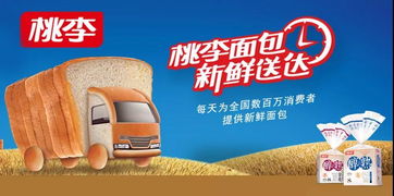 進(jìn)擊 一季度營收11.42億,桃李面包加速布局全國